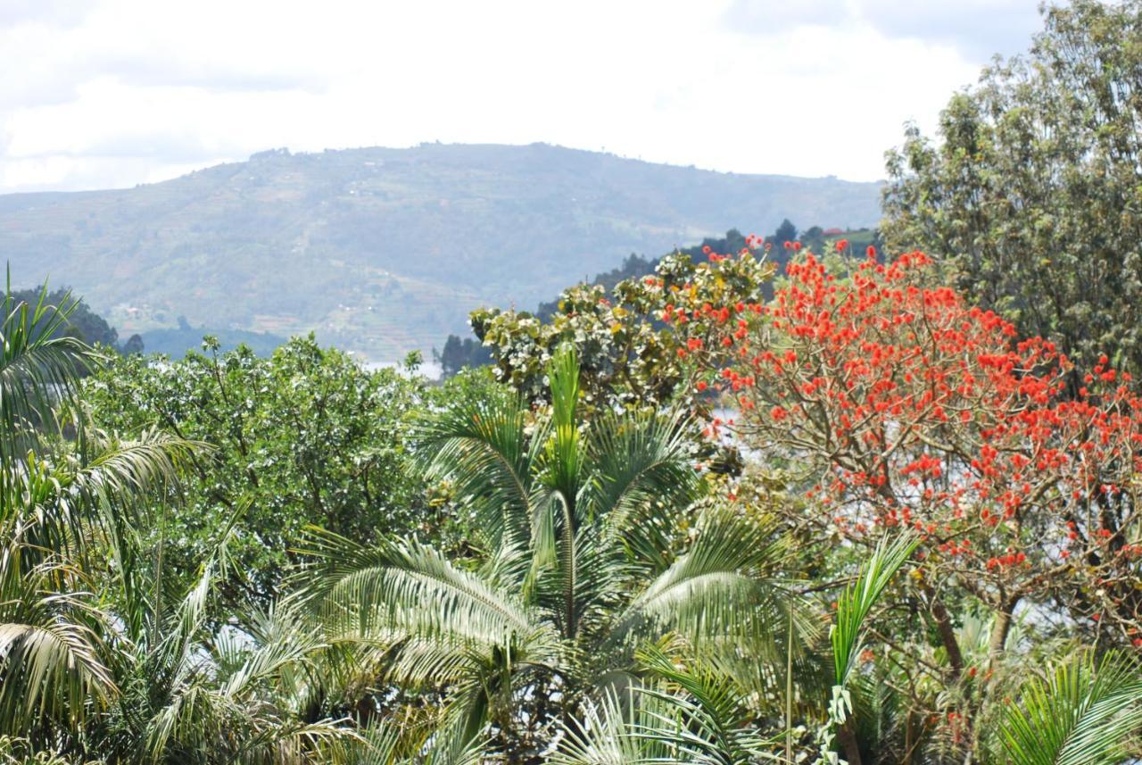 Crater Bay Cottages Kabale Exterior foto