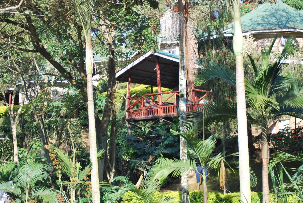 Crater Bay Cottages Kabale Exterior foto