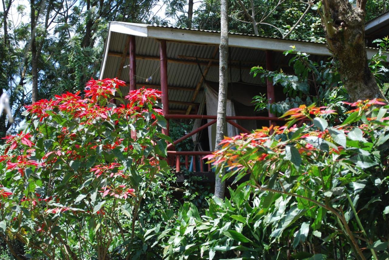 Crater Bay Cottages Kabale Exterior foto